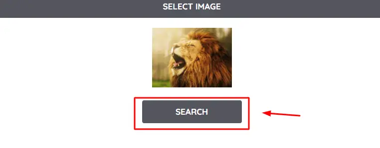 search reverse image