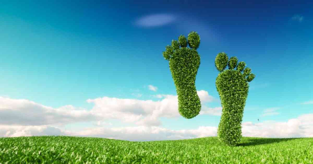 How to reduce carbon footprints