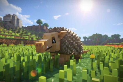 Armadillo Spawn Rate in Minecraft