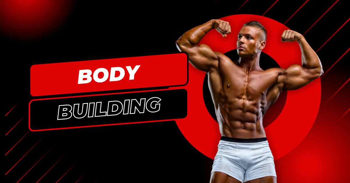 The Essentials of Bodybuilding and Muscle Building