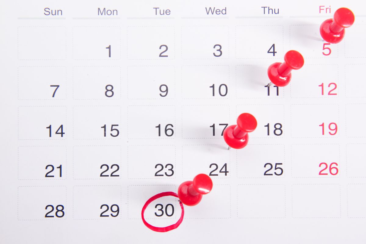 Construction Calendar