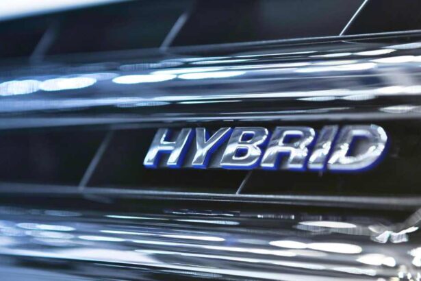The Hybrid Economy
