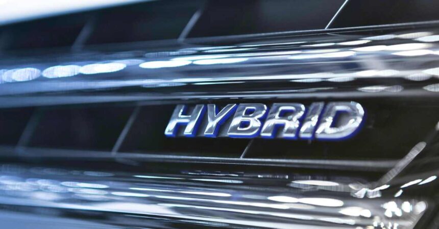 The Hybrid Economy
