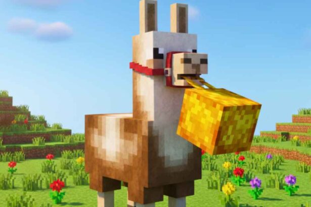 What do the llamas in minecraft eat