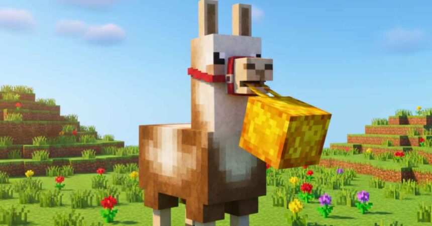 What do the llamas in minecraft eat